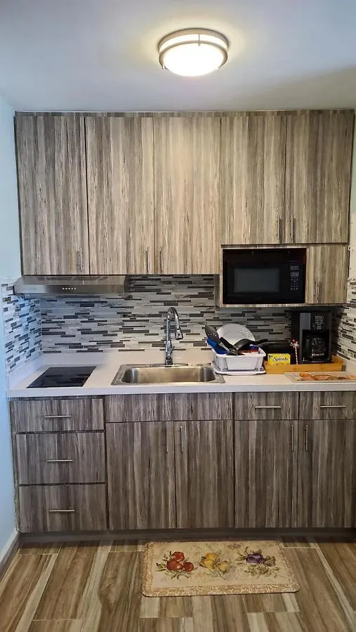 Beachfront Serenity: Remodeled Condo with City Views San Juan Puerto Rico